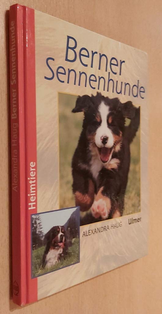 Berner Sennenhunde (Heimtiere)