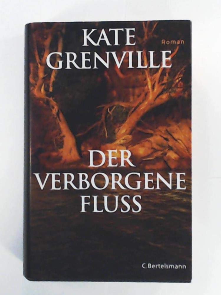 Der verborgene Fluss: Roman