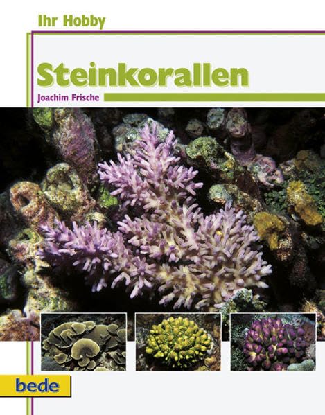Steinkorallen, Ihr Hobby