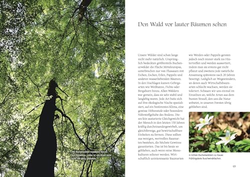 Menschenspuren im Wald: Ein Waldführer der besonderen Art - erkennen, verstehen, einmischen