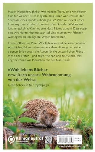 Das geheime Band zwischen Mensch und Natur: Erstaunliche Erkenntnisse über die 7 Sinne des Menschen, den Herzschlag der Bäume und die Frage, ob Pflanzen ein Bewusstsein haben
