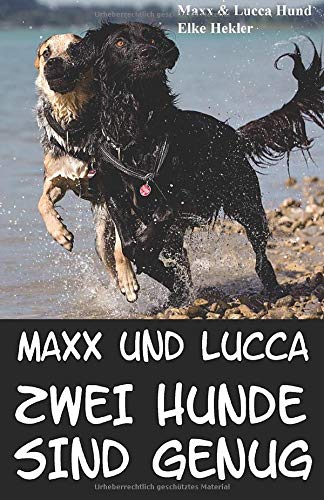Maxx und Lucca: Zwei Hunde sind genug