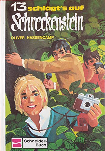 Burg Schreckenstein: Dreizehn schlägt's auf Schreckenstein. Bd 13