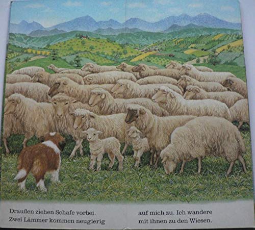 Ich bin der kleine Hund: Mit neuer Rechtschreibung.