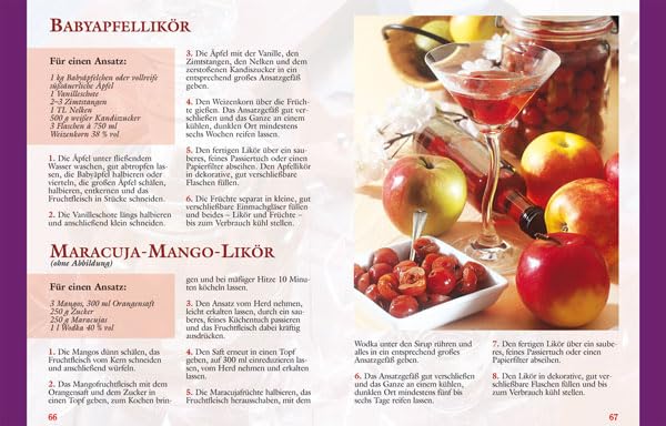 100 Rezepte Ansatzschnäpse Deluxe