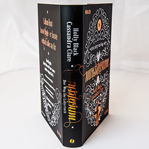 Magisterium - Der Weg ins Labyrinth: Teil 1. Band 1