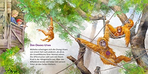 Hör mal (Soundbuch): Im Zoo: Zum Hören, Schauen und Mitmachen ab 2 Jahren. Mit echten Tierstimmen