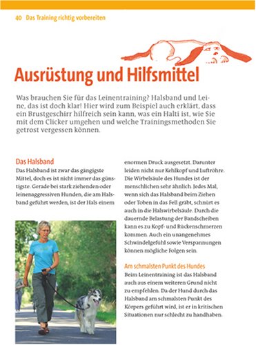 Zufrieden an der Leine