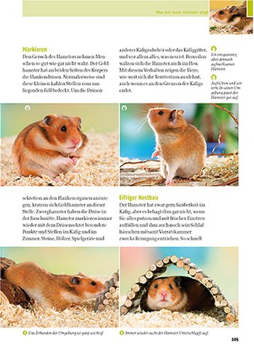 Mein Hamster