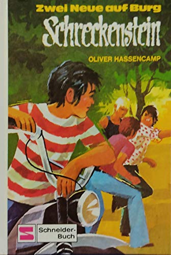 Zwei Neue auf Burg Schreckenstein. Bd. 6