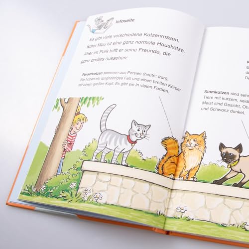 LESEMAUS zum Lesenlernen Sammelbände: Conni-Geschichten zum Lesenlernen: 3 Bild-Wörter-Geschichten mit Leserätseln für Kinder ab 6 Jahren zum Mitlesen