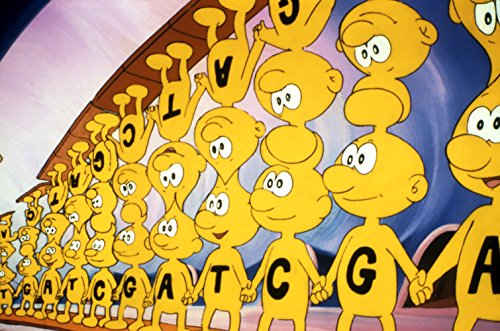 Es war einmal … Das Leben [6 DVDs]