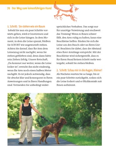 Zufrieden an der Leine