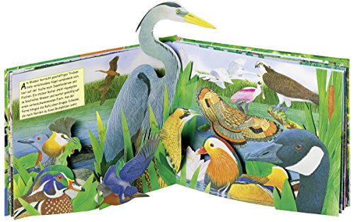 Zauberklang der Vögel: Mit vielen verschiedenen Tierstimmen. Soundeffekte und Pop-ups