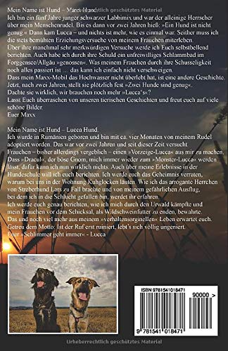 Maxx und Lucca: Zwei Hunde sind genug