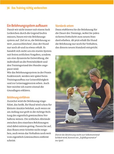 Zufrieden an der Leine