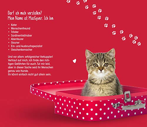 Eine Samtpfote stiehlt Herzen: Ein Katzenroman