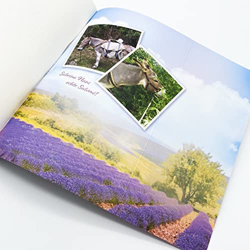 Ein Sommer mit Esel: Roman | Ein atmosphärischer Provence-Roman über Mütter, Töchter und die Liebe