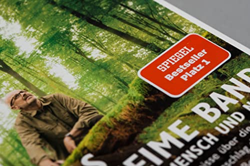 Das geheime Band zwischen Mensch und Natur: Erstaunliche Erkenntnisse über die 7 Sinne des Menschen, den Herzschlag der Bäume und die Frage, ob Pflanzen ein Bewusstsein haben