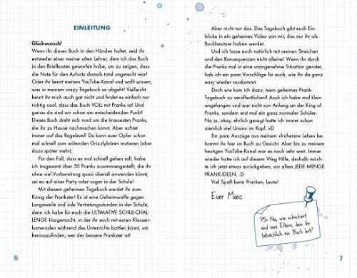 Das geheime Tagebuch eines Pranksters