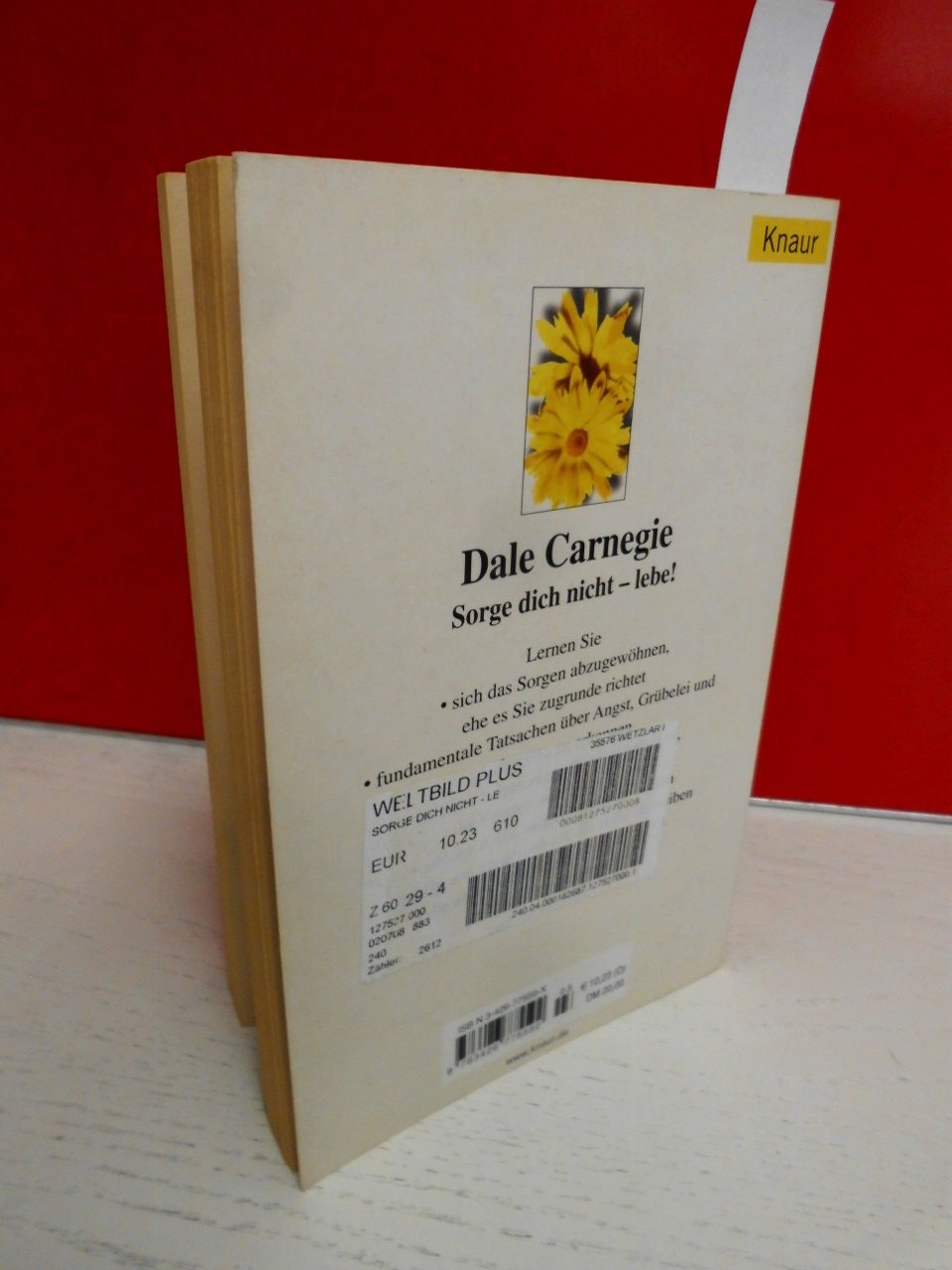 Sorge dich nicht, lebe! Die Kunst zu einem von Ängsten befreitem Leben zu finden