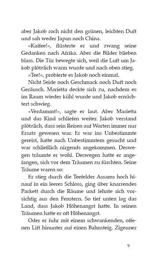 Der Teezauberer: Erfolgsausgabe - Träume, Liebe und Magie - »Eine hinreißende Erzählung« (Süddeutsche Zeitung) Tauchen Sie ein in eine Welt voller Träume und Magie.