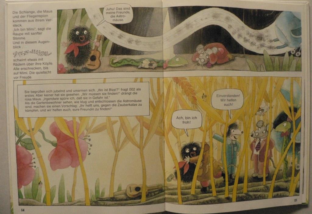 Die Astromäuse und die Katzenhexe, Bd 2