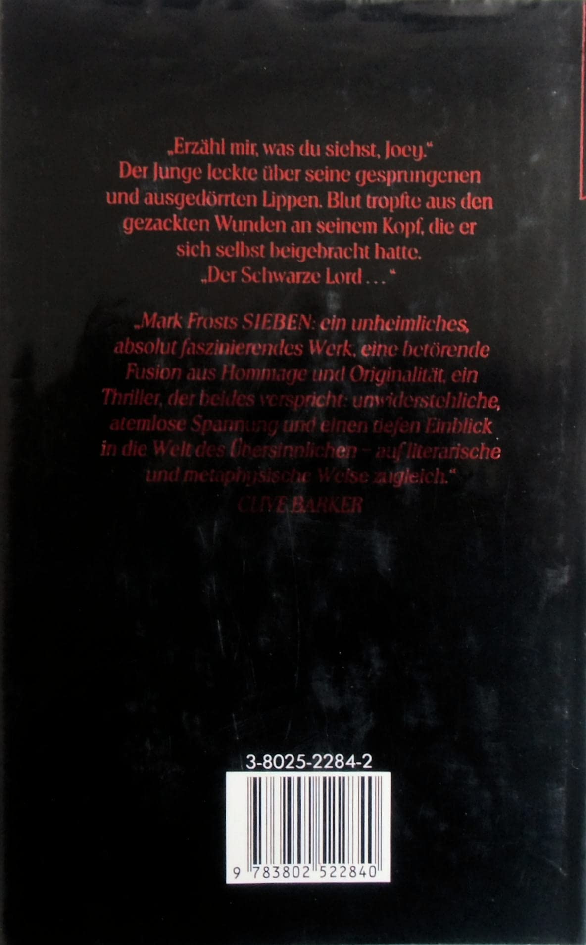 Sieben. Roman
