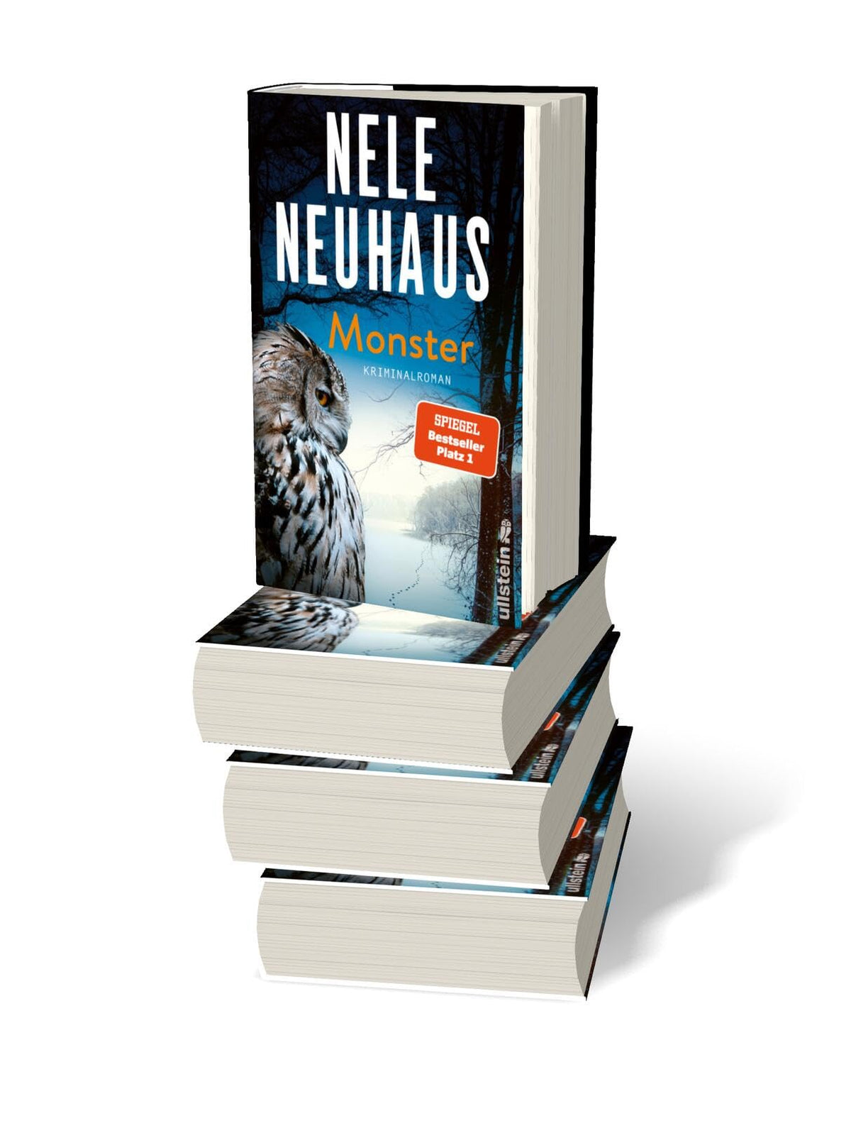 Monster: Kriminalroman | Der SPIEGEL-Bestseller Nr. 1: Wer schuldig ist, entkommt nicht… (Ein Bodenstein-Kirchhoff-Krimi, Band 11)
