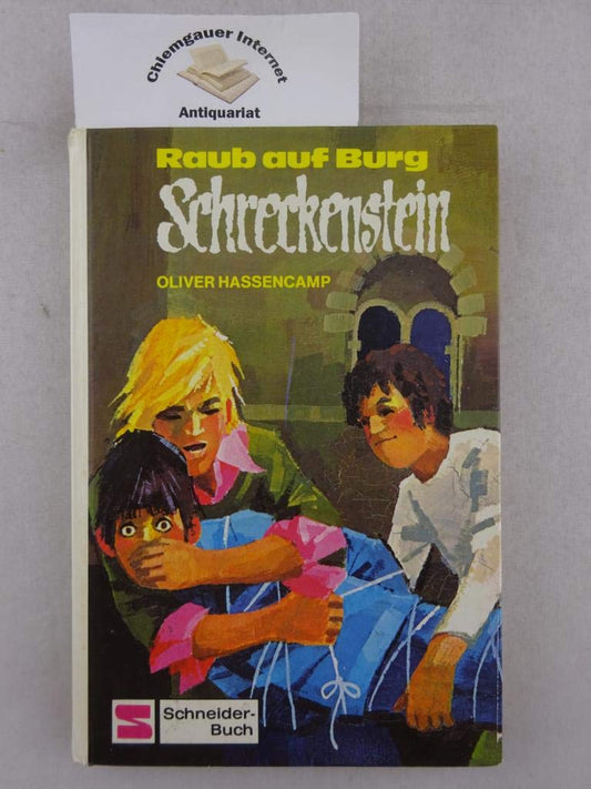 Raub auf Burg Schreckenstein. Bd. 10