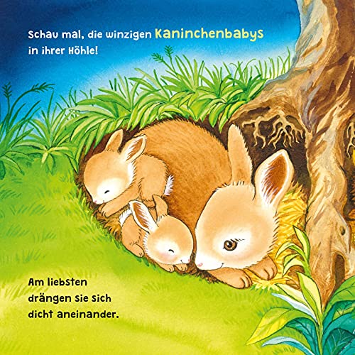 Baby Pixi (unkaputtbar) 96: Mein Lieblingsbuch vom Einschlafen mit den Tieren: Ein Baby-Buch mit Klappen und Gucklöchern ab 1 Jahr (96)