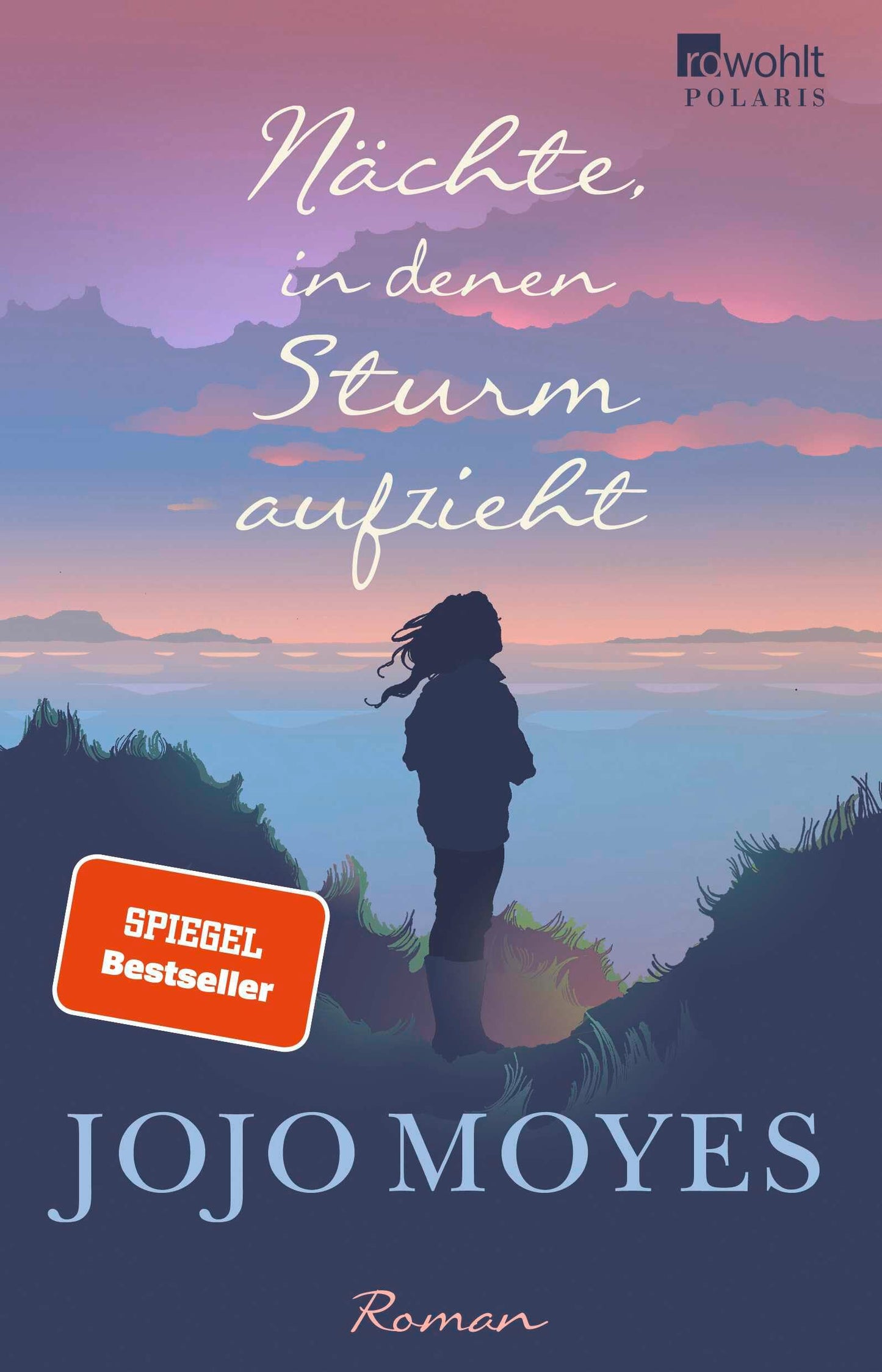 Nächte, in denen Sturm aufzieht: Roman