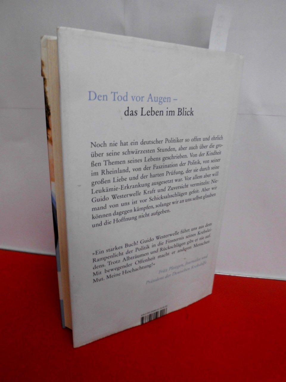 Zwischen zwei Leben: Von Liebe, Tod und Zuversicht