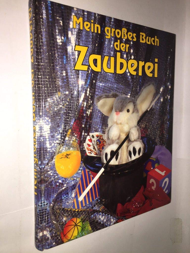 Mein großes Buch der Zauberei