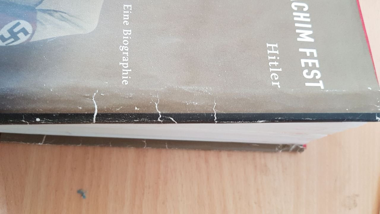 Hitler. SPIEGEL-Edition Band 31