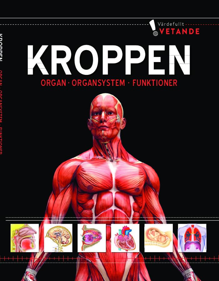 Körper: Organe, Körpersysteme, Funktionen