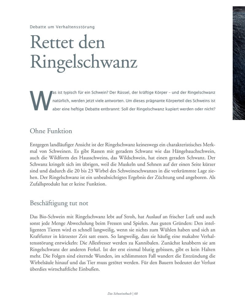 Das Schweinebuch: Von schönen Schweinen, seltenen Rassen und dem Wohl der Tiere (Tiere auf dem Land)