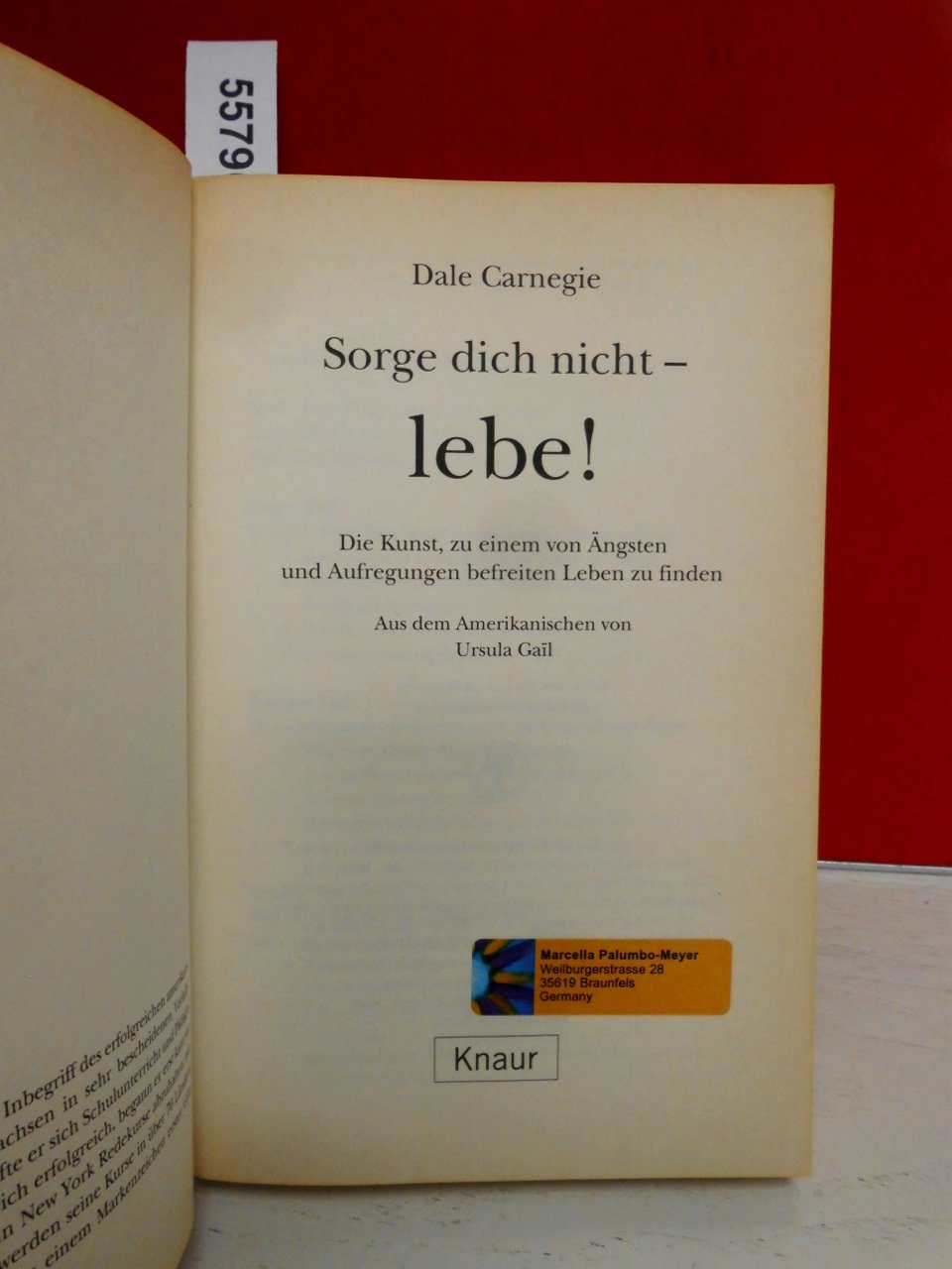 Sorge dich nicht, lebe! Die Kunst zu einem von Ängsten befreitem Leben zu finden