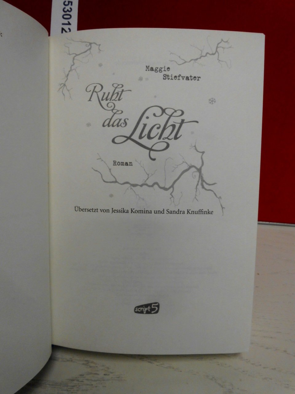 Ruht das Licht: Band 2