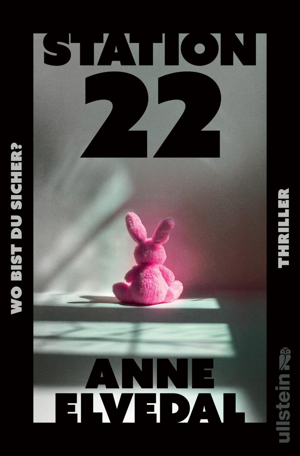 Station 22. Wo bist du sicher?: Thriller | Ein nordischer Thriller, eisiger als ein Wintermorgen in Oslo