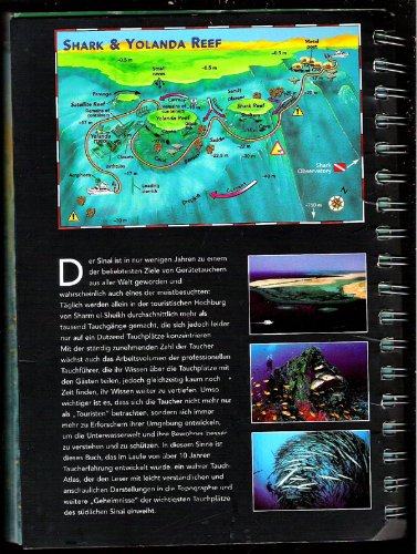 Sinai Diving Guide. Ediz. tedesca