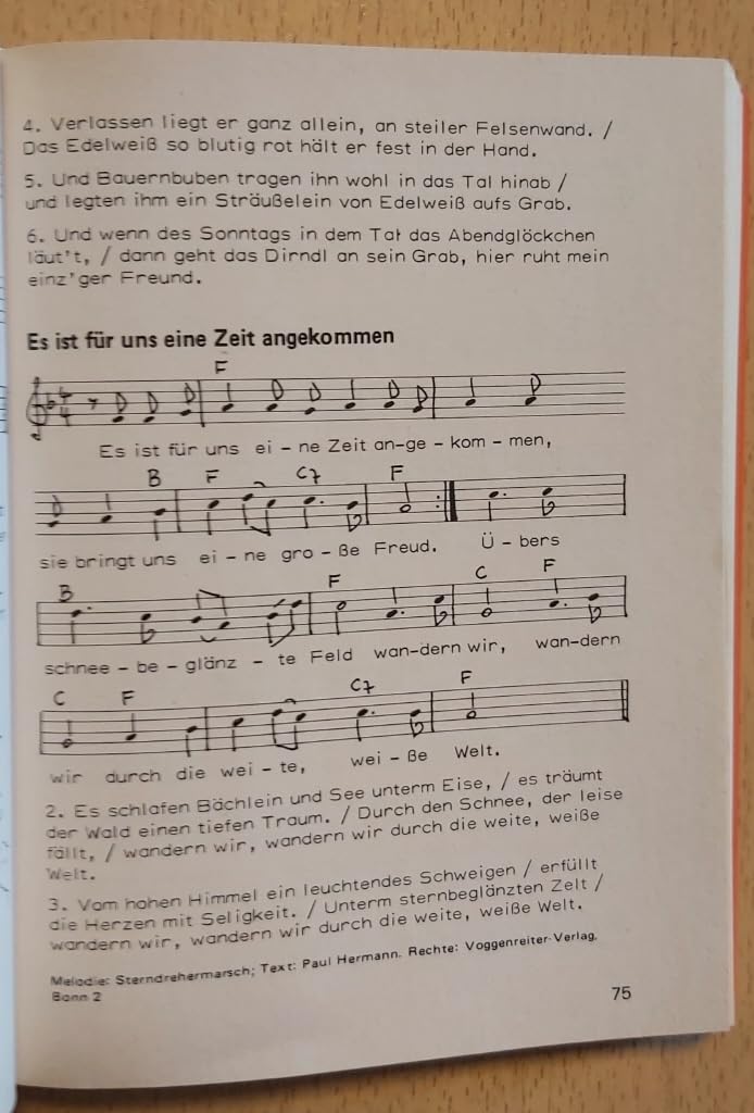 Der Bettelmusikant