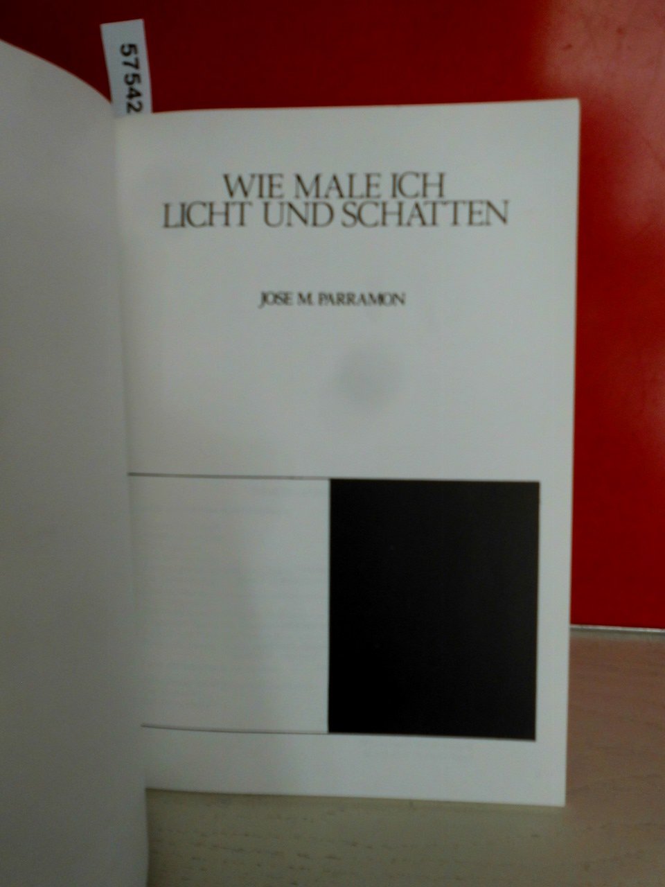 Wie zeichne und male ich Licht und Schatten: Licht und Schatten in der Geschichte der Malerei, Physische und psychische Aspekte des Lichtes, ... und Schatten (Richtiges Malen und Zeichnen)