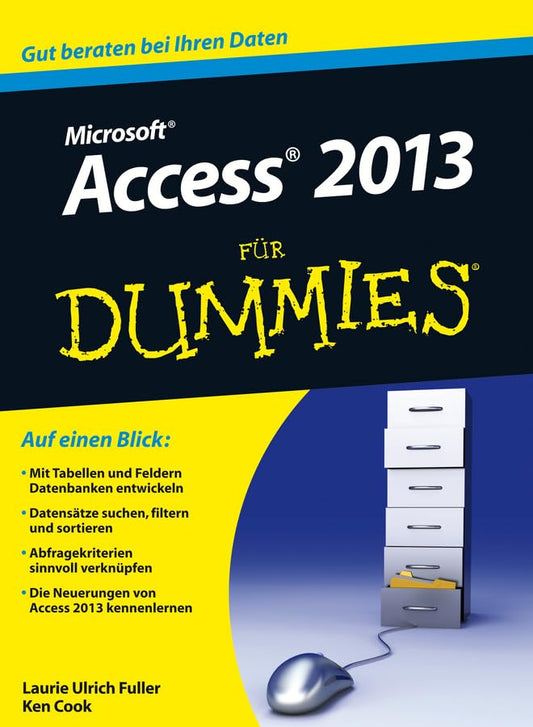 Access 2013 für Dummies: Gut beraten bei Ihren Daten