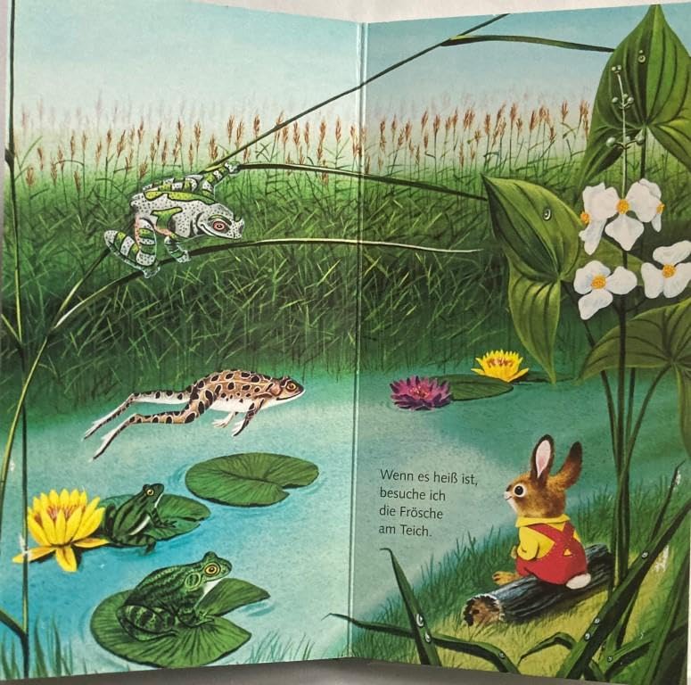 Ich bin der kleine Hase: Mit neuer Rechtschreibung