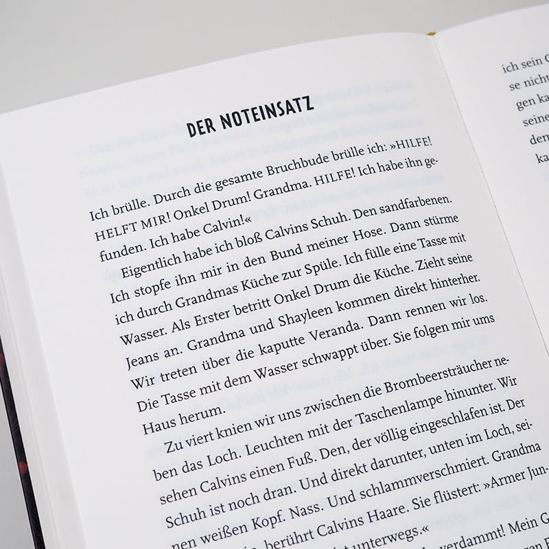 Die ganze Wahrheit (wie Mason Buttle sie erzählt)