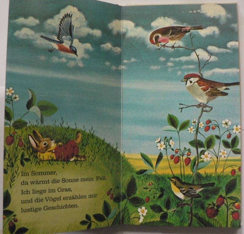 Ich bin der kleine Hase: Mit neuer Rechtschreibung