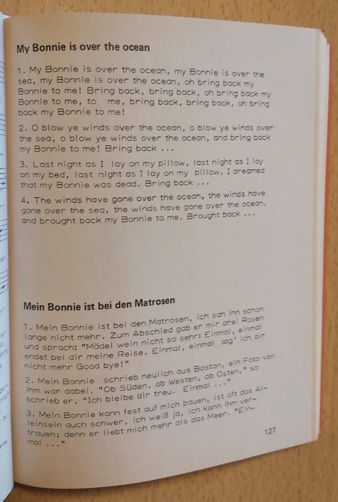 Der Bettelmusikant