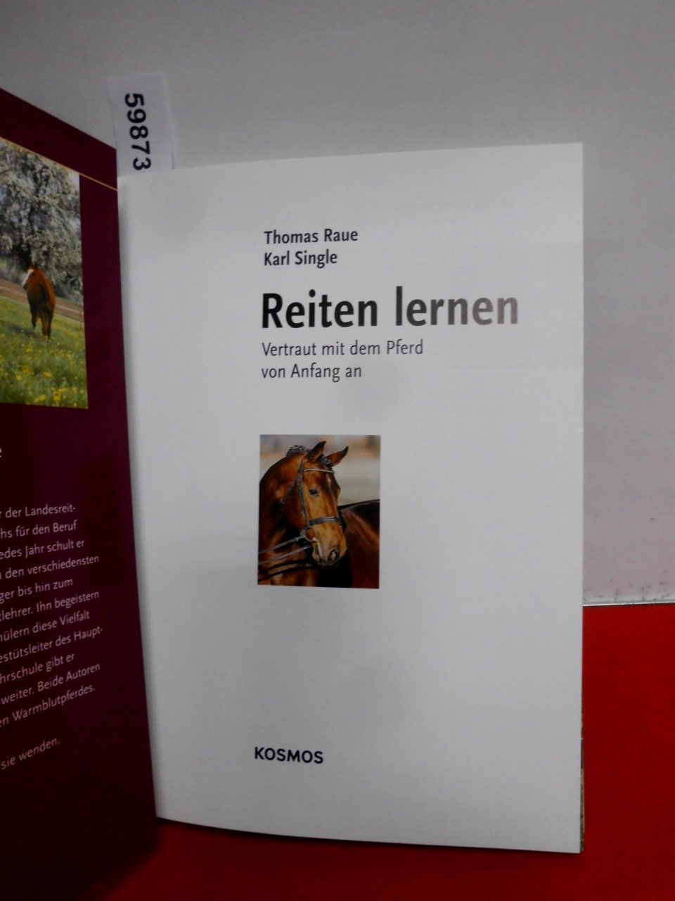 Reiten lernen