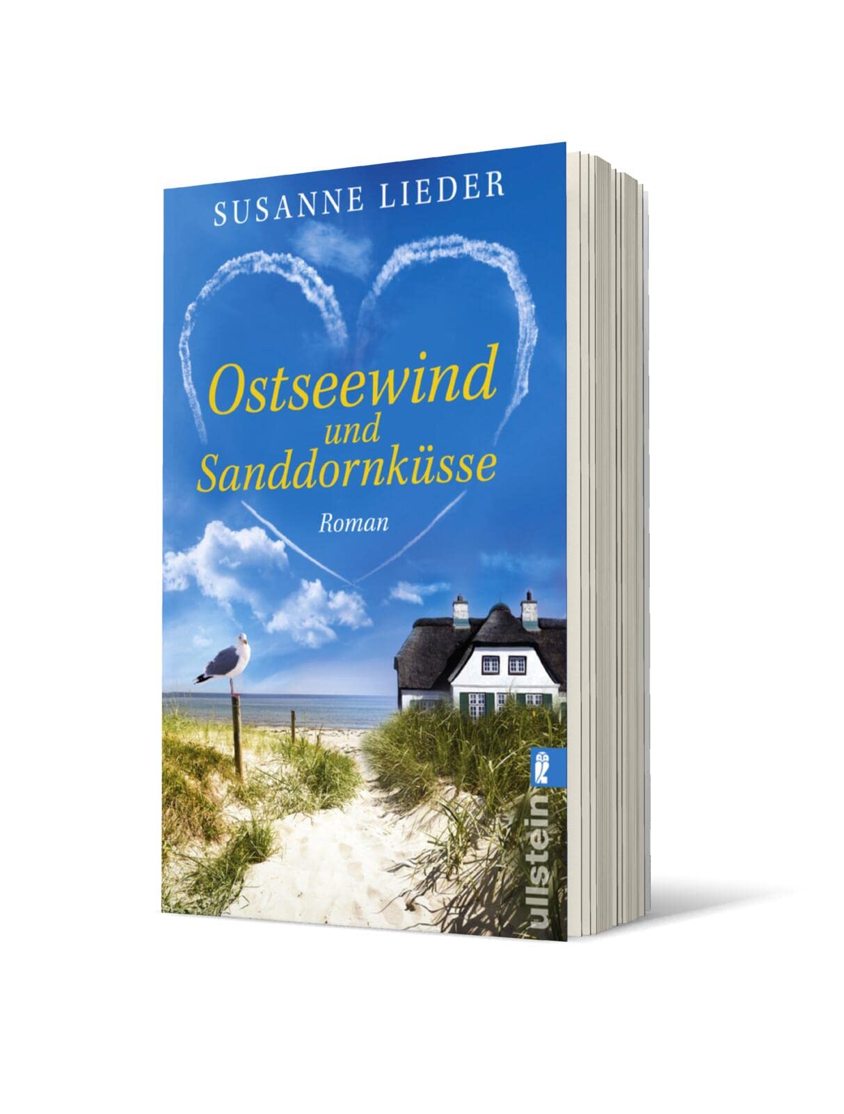 Ostseewind und Sanddornküsse: Roman